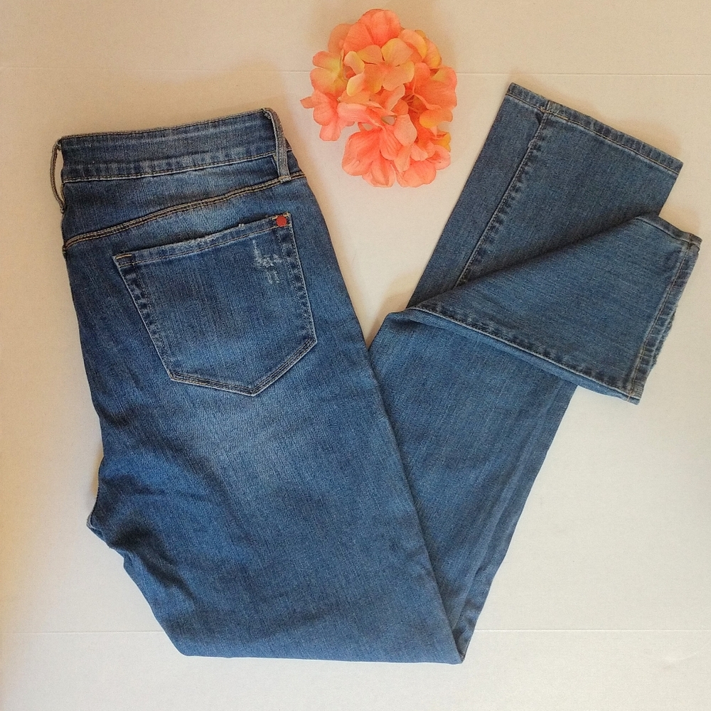 BULLHEAD Denim Co. | Low Rise | Skinny Jeans